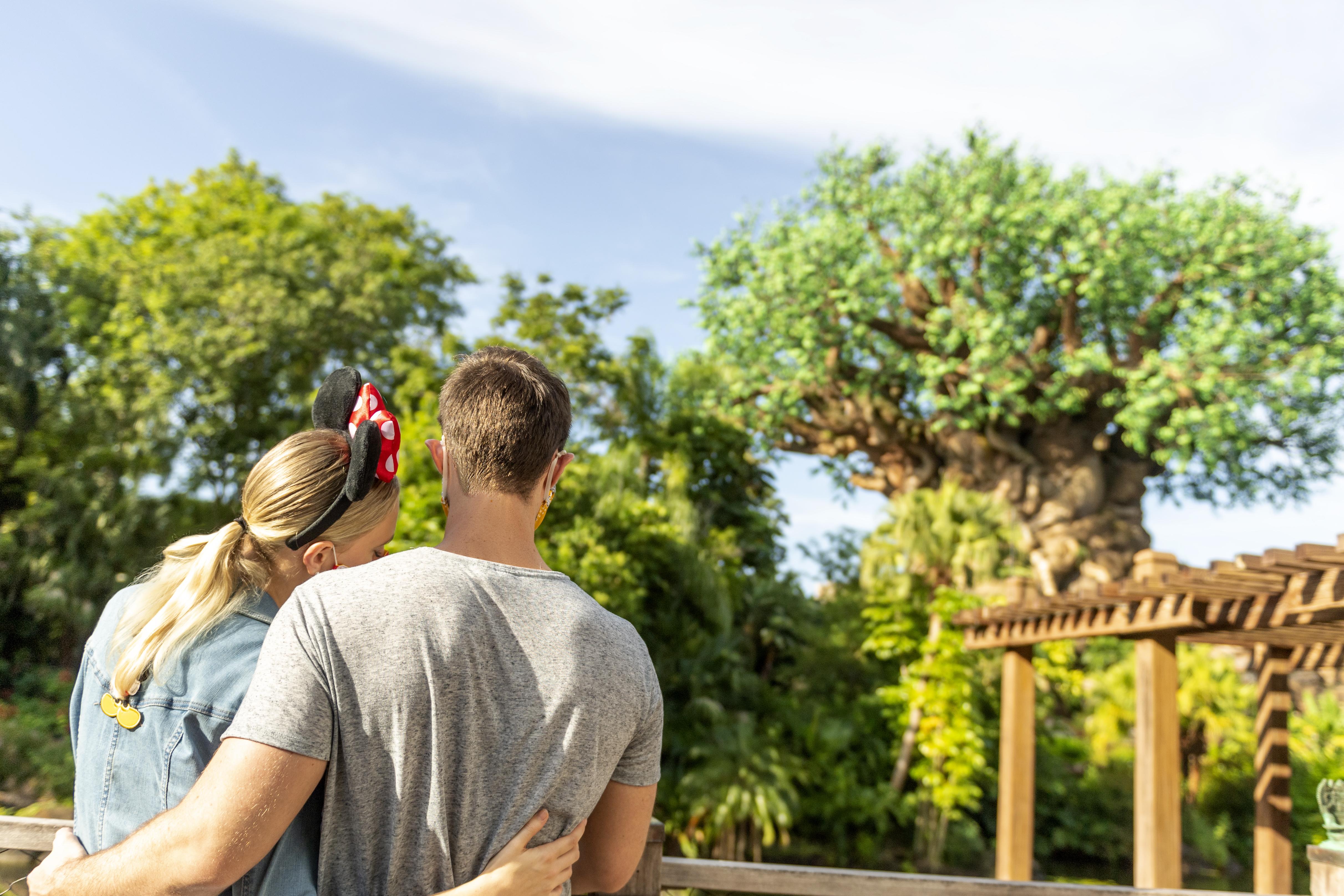Boulder Ridge Villas At Disney'S Wilderness Lodge Lake Buena Vista Ngoại thất bức ảnh